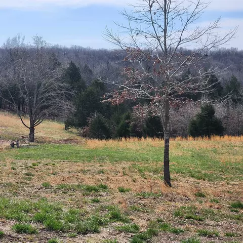 861 354 Hwy, Ash Flat, AR 72513 photo 15
