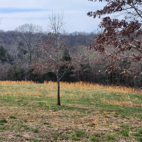 861 354 Hwy, Ash Flat, AR 72513 photo 14