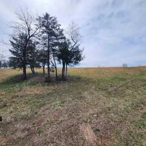 861 354 Hwy, Ash Flat, AR 72513 photo 38