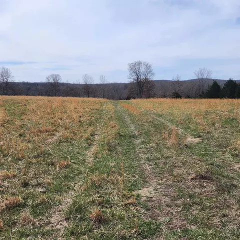 861 354 Hwy, Ash Flat, AR 72513 photo 33