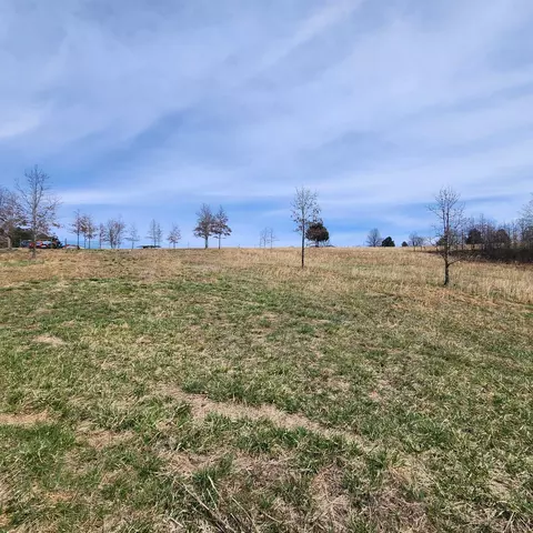 861 354 Hwy, Ash Flat, AR 72513 photo 22