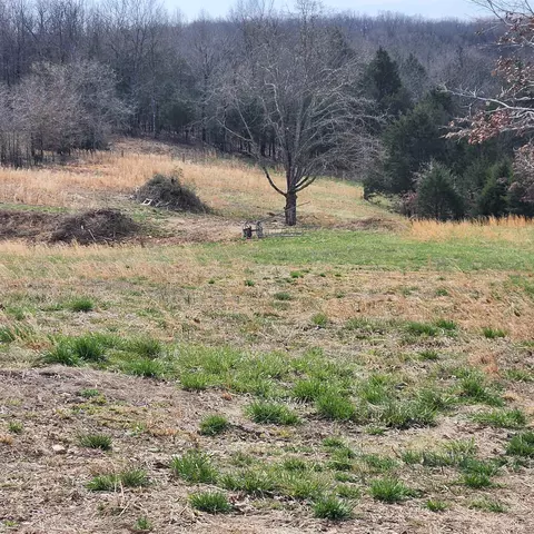 861 354 Hwy, Ash Flat, AR 72513 photo 12