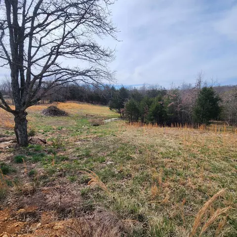 861 354 Hwy, Ash Flat, AR 72513 photo 20