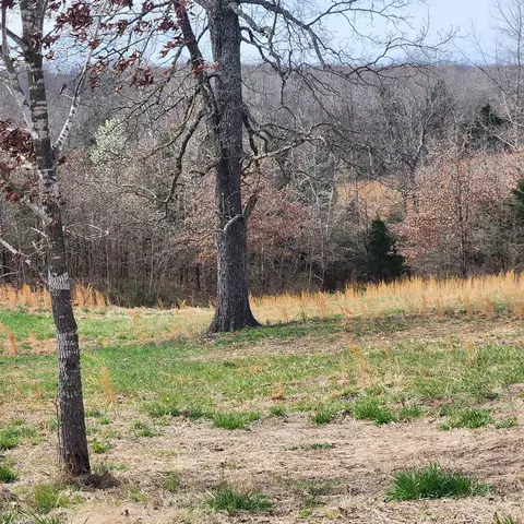 861 354 Hwy, Ash Flat, AR 72513 photo 10