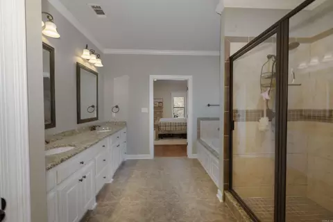 Bath - 11039 Stonehill Dr, Alexander, AR 72002 photo 2 of 4