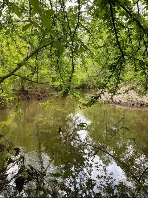 *** County Road 114 Road, Johnsville, AR 71647