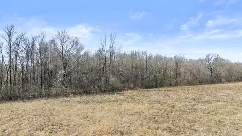 254 Bailey St, Searcy, AR 72143 photo 11