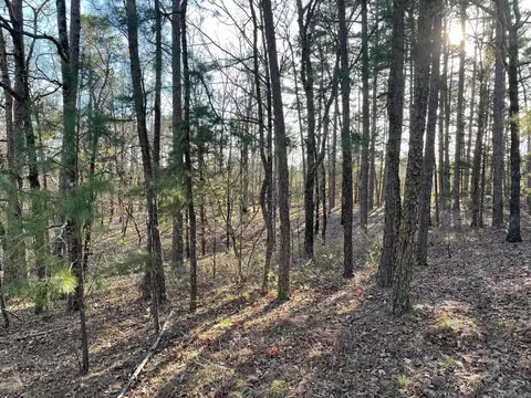 3 Caponia Ln, Hot Springs Village, AR 71909