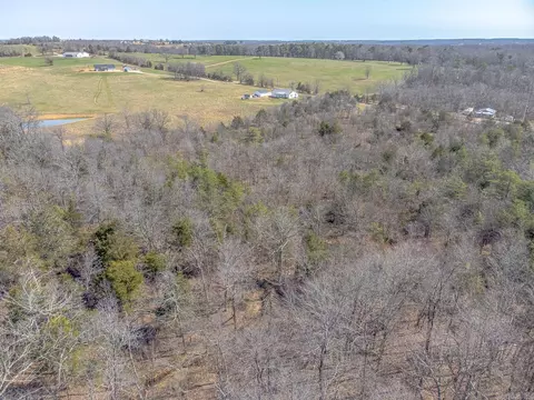 1665 Nc 1600, Compton, AR 72624 photo 44