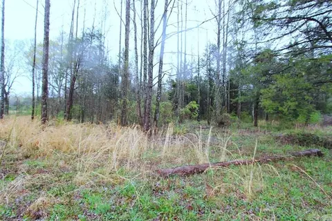 35 Watson Dr, Greenbrier, AR 72058 photo 9