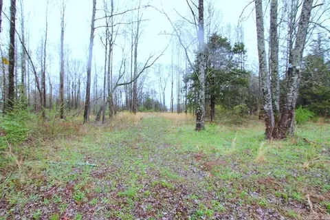 35 Watson Dr, Greenbrier, AR 72058 photo 8