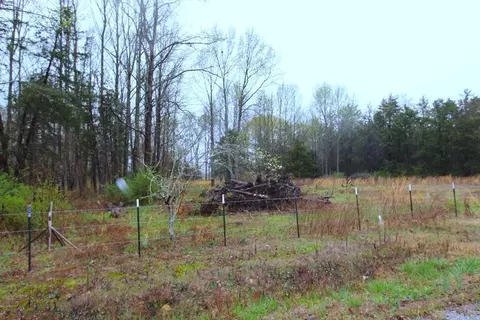 35 Watson Dr, Greenbrier, AR 72058 photo 5