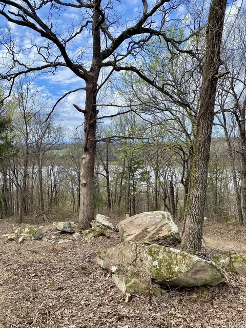 918 Citadel Bluff Trl, Cecil, AR 72930 photo 12