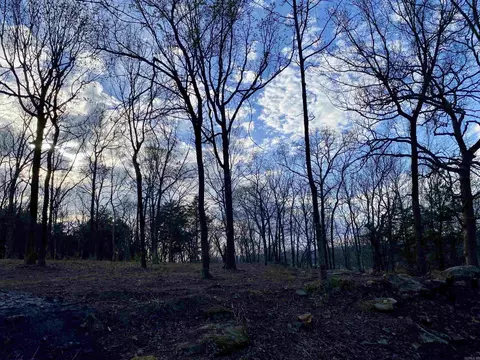 918 Citadel Bluff Trl, Cecil, AR 72930 photo 22