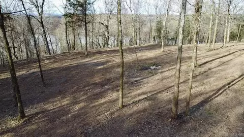 918 Citadel Bluff Trl, Cecil, AR 72930 photo 10