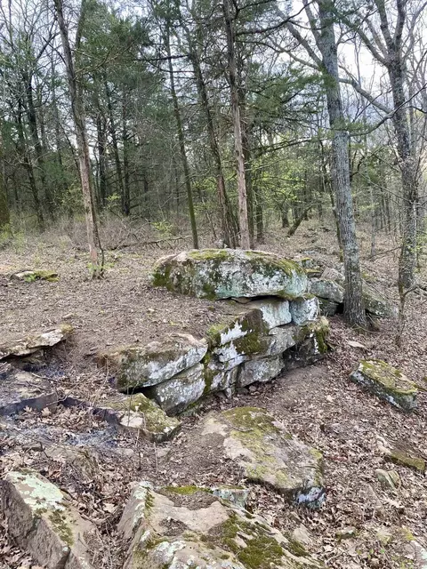 918 Citadel Bluff Trl, Cecil, AR 72930 photo 15