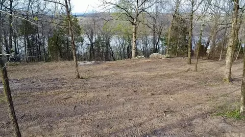 918 Citadel Bluff Trl, Cecil, AR 72930 photo 11
