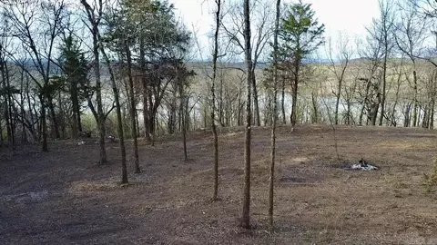 918 Citadel Bluff Trl, Cecil, AR 72930 photo 3