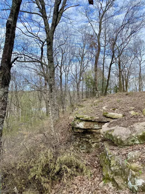 918 Citadel Bluff Trl, Cecil, AR 72930 photo 14