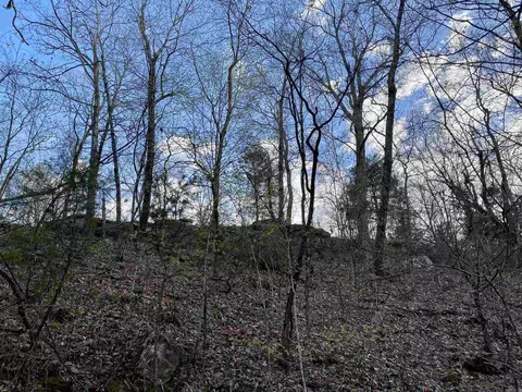 918 Citadel Bluff Trl, Cecil, AR 72930 photo 20