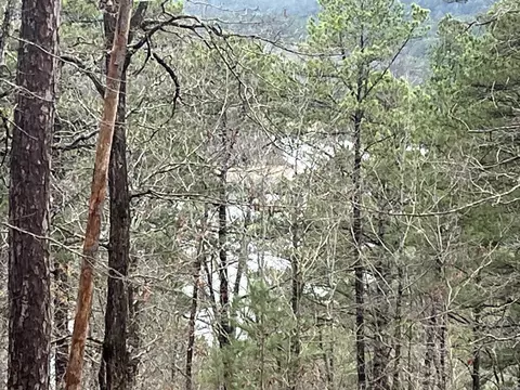 8 Cozar Ln, Hot Springs Village, AR 71909