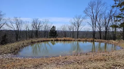 282 Cambridge Ln, Pyatt, AR 72672 photo 46