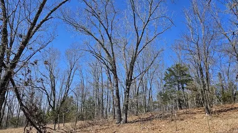282 Cambridge Ln, Pyatt, AR 72672 photo 49