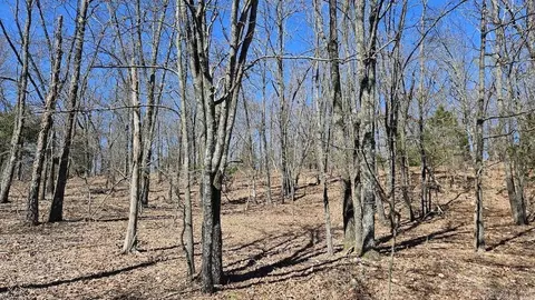 282 Cambridge Ln, Pyatt, AR 72672 photo 45