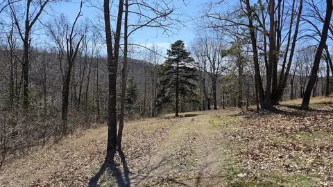 282 Cambridge Ln, Pyatt, AR 72672 photo 38