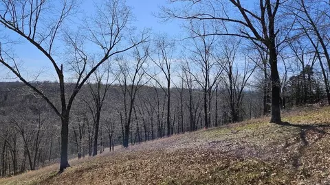 282 Cambridge Ln, Pyatt, AR 72672 photo 42