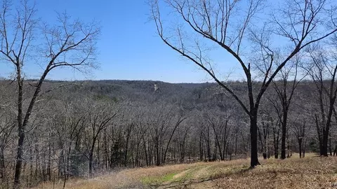 282 Cambridge Ln, Pyatt, AR 72672 photo 41