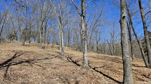 282 Cambridge Ln, Pyatt, AR 72672 photo 36
