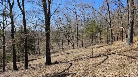 282 Cambridge Ln, Pyatt, AR 72672 photo 33