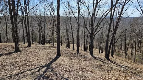 282 Cambridge Ln, Pyatt, AR 72672 photo 5