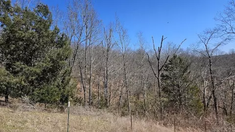 282 Cambridge Ln, Pyatt, AR 72672 photo 43