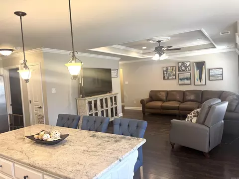 Living - 14 Mallard Cv, Austin, AR 72007 photo 3 of 3