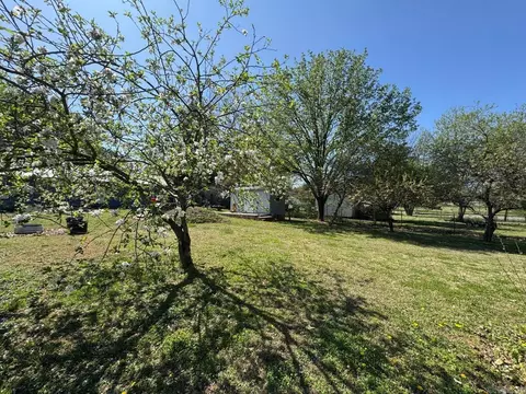 Exterior - 16 Diane Ave, Ash Flat, AR 72513 photo 18 of 20