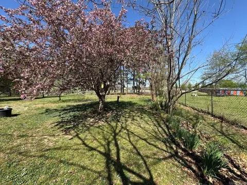 Exterior - 16 Diane Ave, Ash Flat, AR 72513 photo 17 of 20