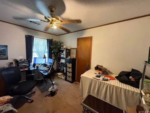Other - 16 Diane Ave, Ash Flat, AR 72513 photo 4 of 11