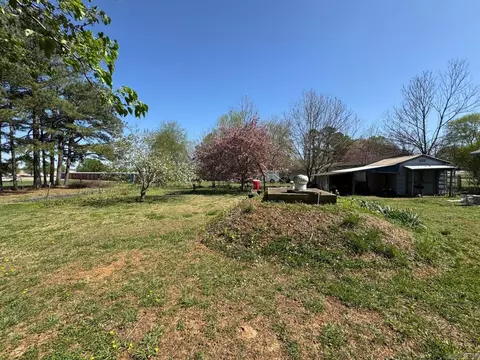 Exterior - 16 Diane Ave, Ash Flat, AR 72513 photo 12 of 20