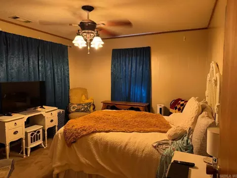 Bedroom - 16 Diane Ave, Ash Flat, AR 72513 photo 3 of 6