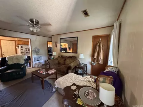 Living - 16 Diane Ave, Ash Flat, AR 72513 photo 1 of 2