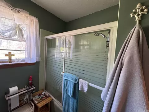 Bath - 16 Diane Ave, Ash Flat, AR 72513 photo 3 of 3