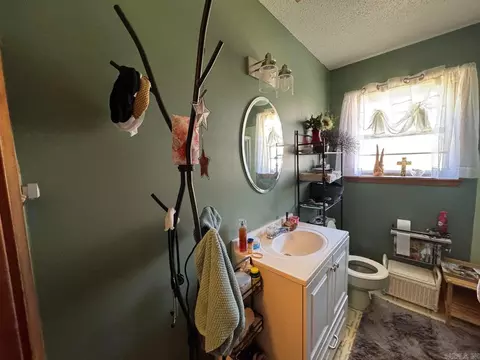 Bath - 16 Diane Ave, Ash Flat, AR 72513 photo 2 of 3