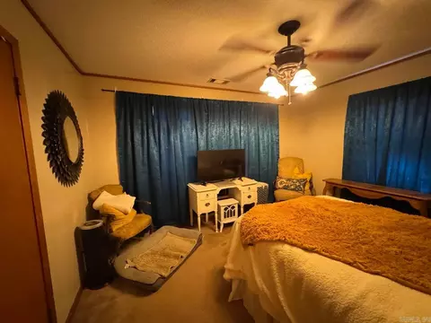 Bedroom - 16 Diane Ave, Ash Flat, AR 72513 photo 4 of 6