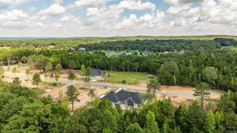 52 Ules Watson Dr, Greenbrier, AR 72058 photo 47