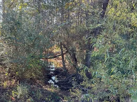 1 Atchley Cemetary Rd, Dalark, AR 71763 photo 2