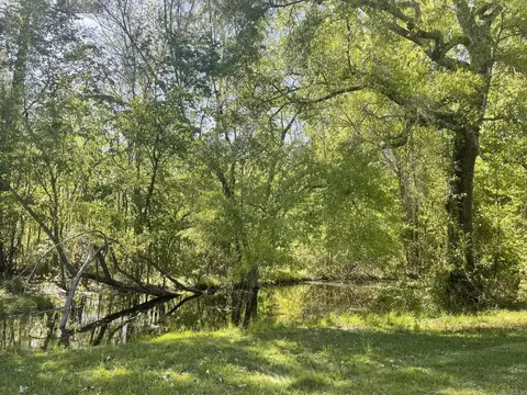 9139 Gilbert Rd, Benton, AR 72019 photo 35