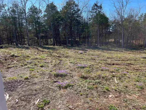 31 Forest Cv, Greenbrier, AR 72058 photo 24