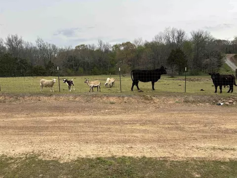 119 David Ct, Romance, AR 72136 photo 17